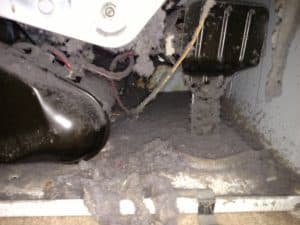 Picture of lint buildup inside a dryer. This is from a dryer vent cleaning job in Charles Town, WV.