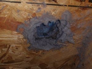Picture of a clogged dryer vent roof penetration in Mt. Airy, MD