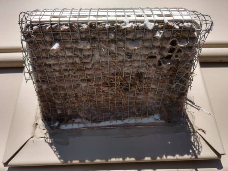 Clogged Dryer Vent Screen packed with lint and a bird nest , found during a dryer vent cleaning in Gaithersburg, MD