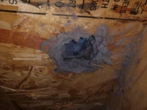 Picture of a clogged dryer vent roof penetration with a lover screened cover in Harper's Ferry, WV