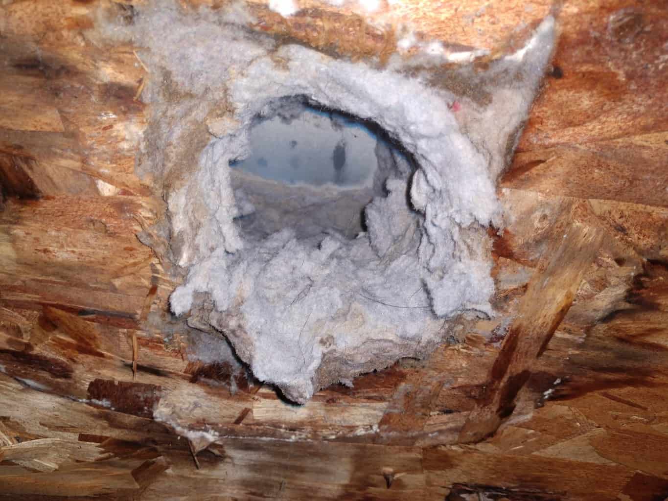 Picture of Clogged Dryer Vent Roof Cover With Stuck Flap in Montgomery Village, MD