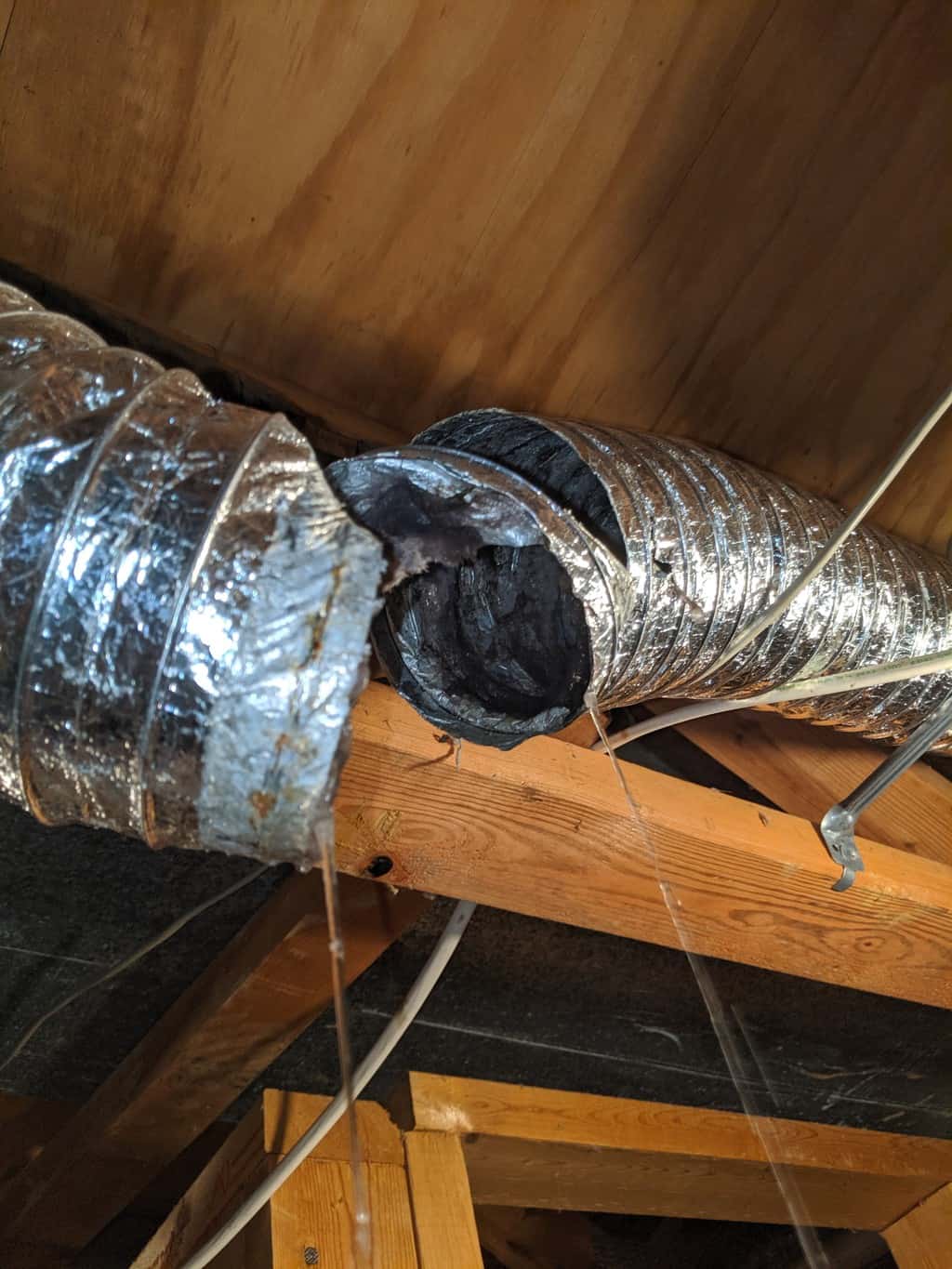 Picture of water pouring out of a dryer vent in Clarksburg, MD